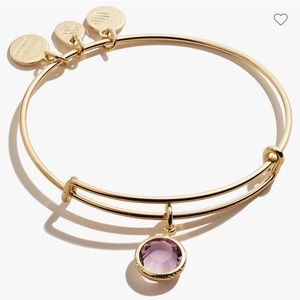 Alex and Ani light amethyst June birthstone charm bracelet